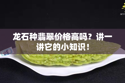 龙石种翡翠价格高吗？讲一讲它的小知识！