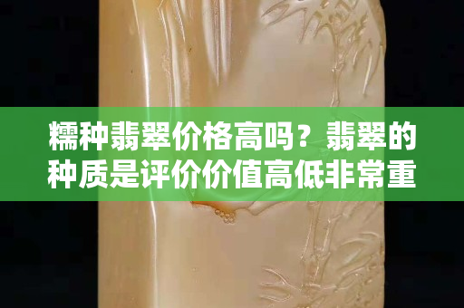 糯种翡翠价格高吗？翡翠的种质是评价价值高低非常重要的一个因素！