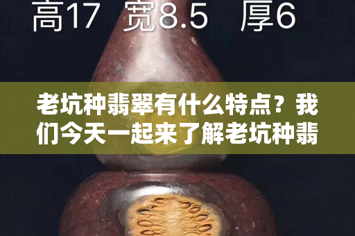 老坑种翡翠有什么特点？我们今天一起来了解老坑种翡翠！