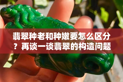 翡翠种老和种嫩要怎么区分？再谈一谈翡翠的构造问题！