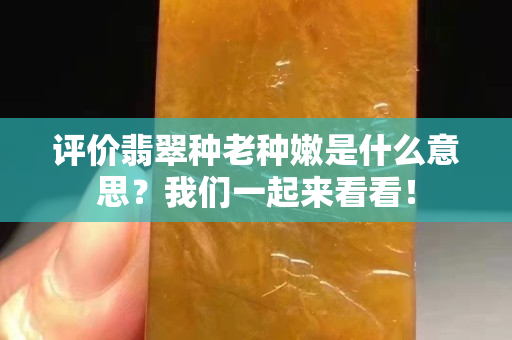 评价翡翠种老种嫩是什么意思？我们一起来看看！