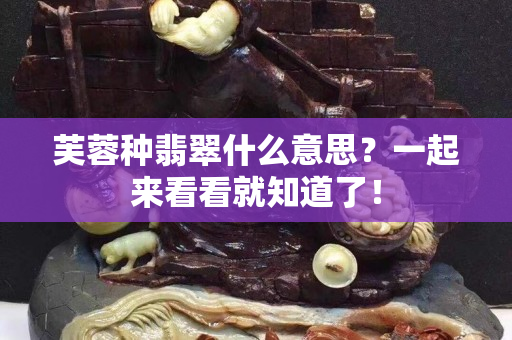 芙蓉种翡翠什么意思？一起来看看就知道了！