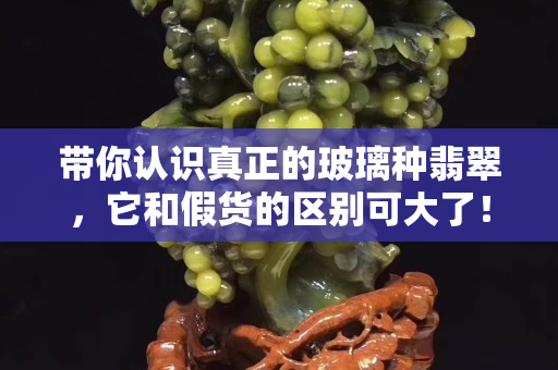 带你认识真正的玻璃种翡翠，它和假货的区别可大了！