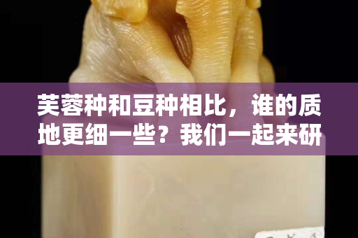 芙蓉种和豆种相比，谁的质地更细一些？我们一起来研究一下！