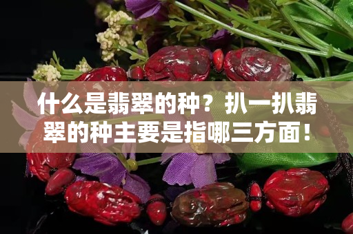 什么是翡翠的种？扒一扒翡翠的种主要是指哪三方面！