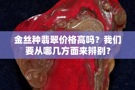 金丝种翡翠价格高吗？我们要从哪几方面来辨别？