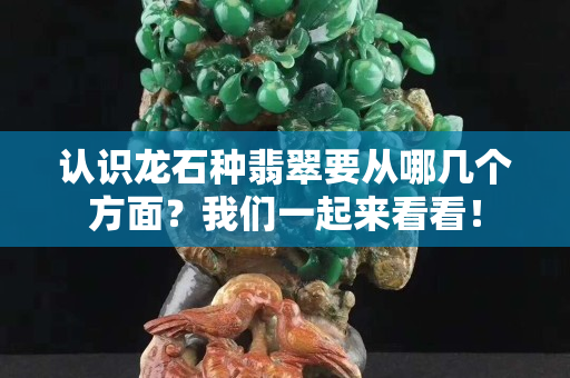 认识龙石种翡翠要从哪几个方面？我们一起来看看！