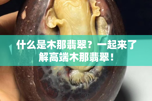 什么是木那翡翠？一起来了解高端木那翡翠！