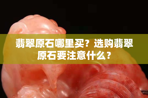 翡翠原石哪里买？选购翡翠原石要注意什么？