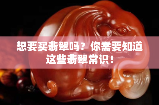 想要买翡翠吗？你需要知道这些翡翠常识！