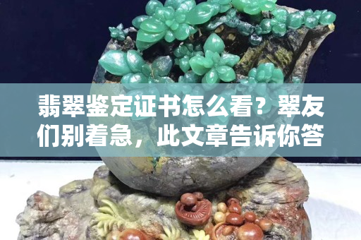 翡翠鉴定证书怎么看？翠友们别着急，此文章告诉你答案！