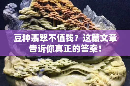 豆种翡翠不值钱？这篇文章告诉你真正的答案！