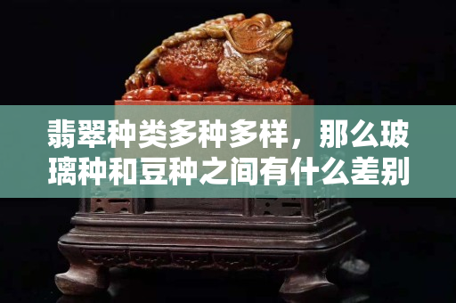 翡翠种类多种多样，那么玻璃种和豆种之间有什么差别？