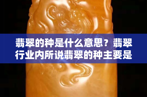 翡翠的种是什么意思？翡翠行业内所说翡翠的种主要是指三个方面！