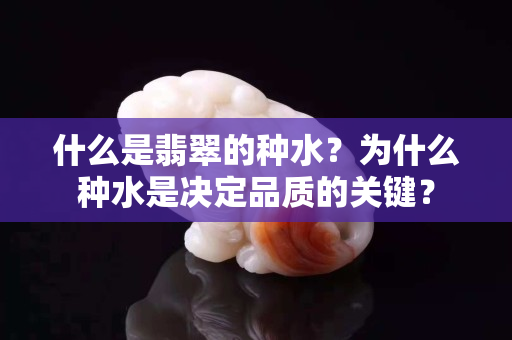 什么是翡翠的种水？为什么种水是决定品质的关键？