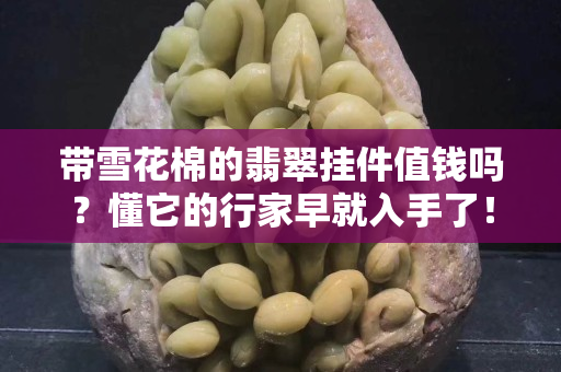 带雪花棉的翡翠挂件值钱吗？懂它的行家早就入手了！