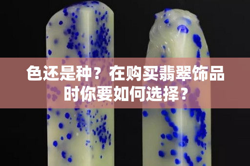 色还是种？在购买翡翠饰品时你要如何选择？