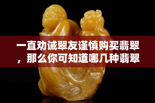 一直劝诫翠友谨慎购买翡翠，那么你可知道哪几种翡翠不可购买？