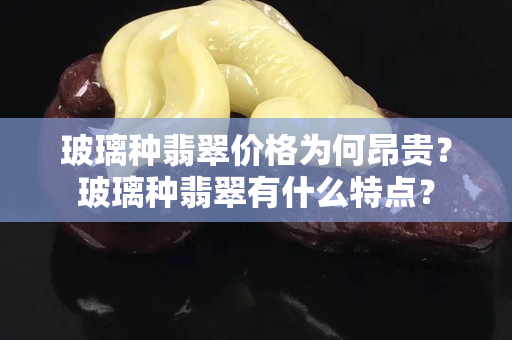 玻璃种翡翠价格为何昂贵？玻璃种翡翠有什么特点？