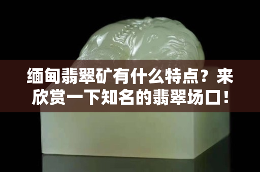 缅甸翡翠矿有什么特点？来欣赏一下知名的翡翠场口！