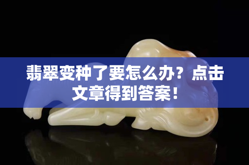 翡翠变种了要怎么办？点击文章得到答案！