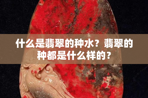 什么是翡翠的种水？翡翠的种都是什么样的？