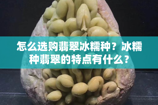 怎么选购翡翠冰糯种？冰糯种翡翠的特点有什么？