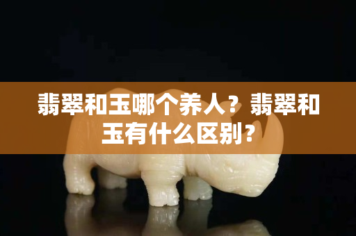 翡翠和玉哪个养人？翡翠和玉有什么区别？