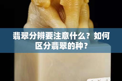 翡翠分辨要注意什么？如何区分翡翠的种？