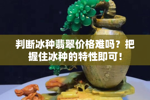 判断冰种翡翠价格难吗？把握住冰种的特性即可！