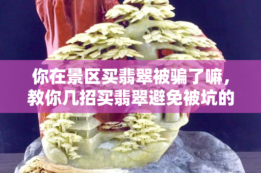 你在景区买翡翠被骗了嘛，教你几招买翡翠避免被坑的方法