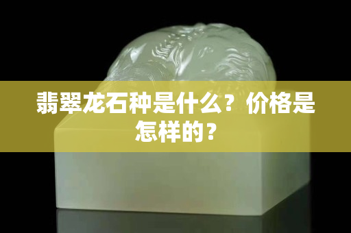 翡翠龙石种是什么？价格是怎样的？