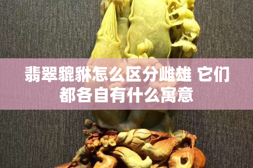 翡翠貔貅怎么区分雌雄 它们都各自有什么寓意