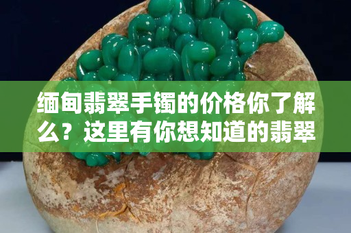 缅甸翡翠手镯的价格你了解么？这里有你想知道的翡翠手镯价格种类
