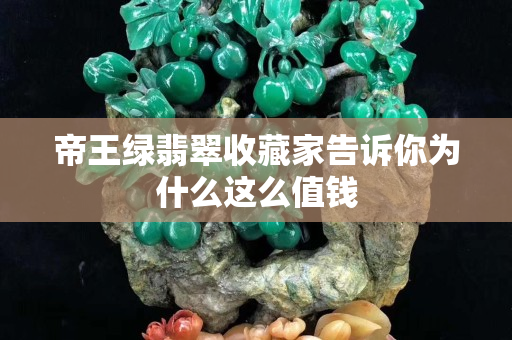 帝王绿翡翠收藏家告诉你为什么这么值钱