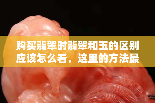 购买翡翠时翡翠和玉的区别应该怎么看，这里的方法最是实用