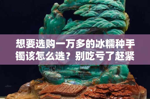 想要选购一万多的冰糯种手镯该怎么选？别吃亏了赶紧看