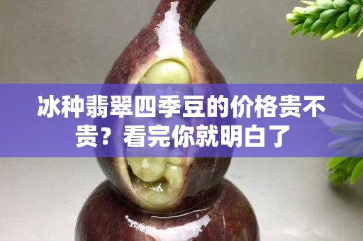 冰种翡翠四季豆的价格贵不贵？看完你就明白了