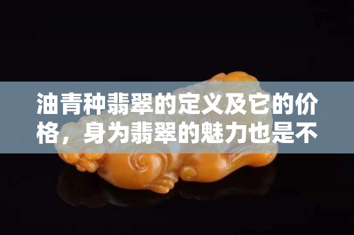 油青种翡翠的定义及它的价格，身为翡翠的魅力也是不可挡