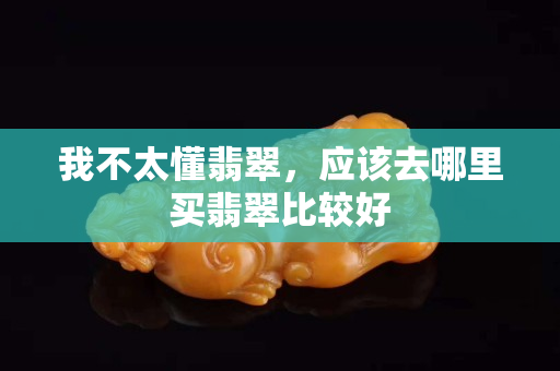 我不太懂翡翠，应该去哪里买翡翠比较好