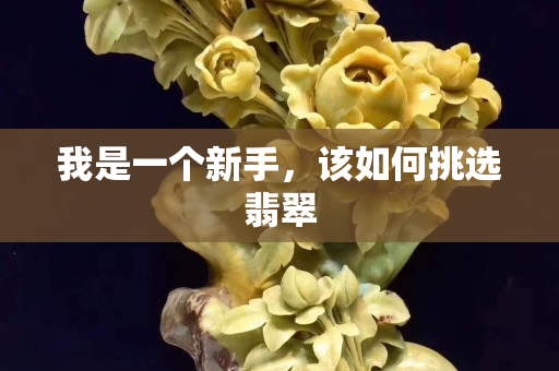 我是一个新手，该如何挑选翡翠