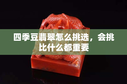 四季豆翡翠怎么挑选，会挑比什么都重要