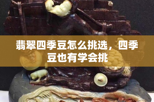翡翠四季豆怎么挑选，四季豆也有学会挑