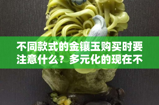 不同款式的金镶玉购买时要注意什么？多元化的现在不能有老旧思想了