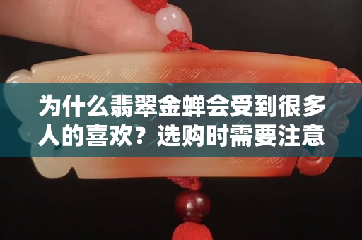 为什么翡翠金蝉会受到很多人的喜欢？选购时需要注意的是这个！