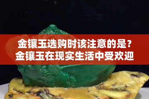 金镶玉选购时该注意的是？金镶玉在现实生活中受欢迎的程度由此看出