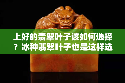 上好的翡翠叶子该如何选择？冰种翡翠叶子也是这样选择的！