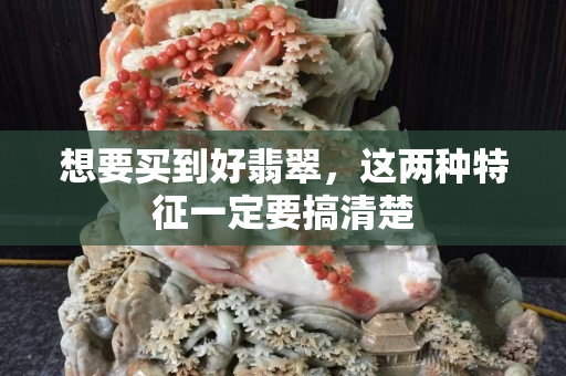 想要买到好翡翠，这两种特征一定要搞清楚
