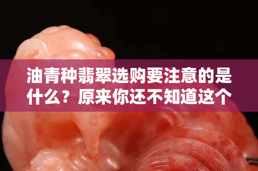 油青种翡翠选购要注意的是什么？原来你还不知道这个么