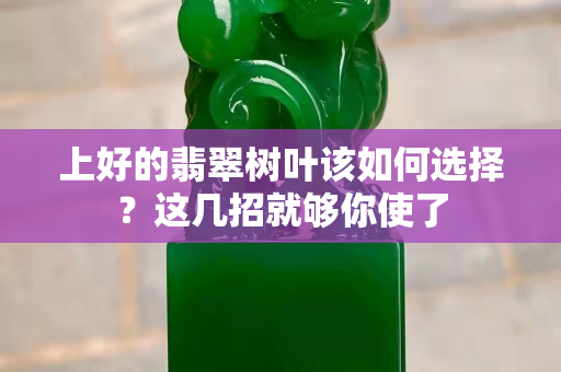 上好的翡翠树叶该如何选择？这几招就够你使了